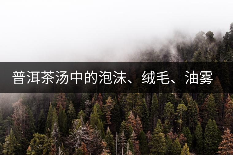 普洱茶湯中的泡沫、絨毛、油霧、絮狀物……原來是這些東西！