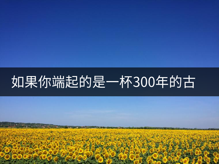 如果你端起的是一杯300年的古樹茶，那會(huì)是一種怎樣的心境？