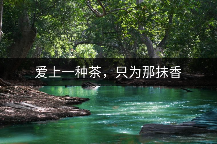 愛上一種茶，只為那抹香