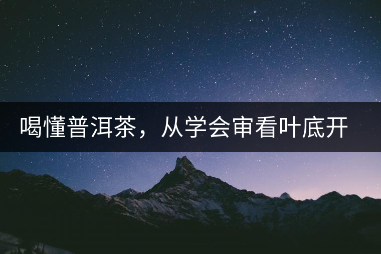 喝懂普洱茶，從學會審看葉底開始