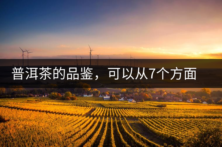 普洱茶的品鑒，可以從7個方面著手