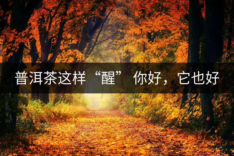 普洱茶這樣“醒” 你好，它也好