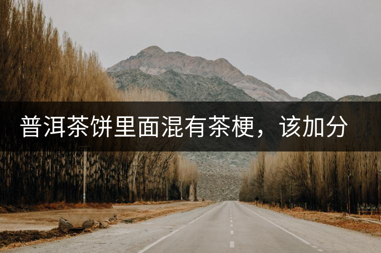 普洱茶餅里面混有茶梗，該加分還是減分？