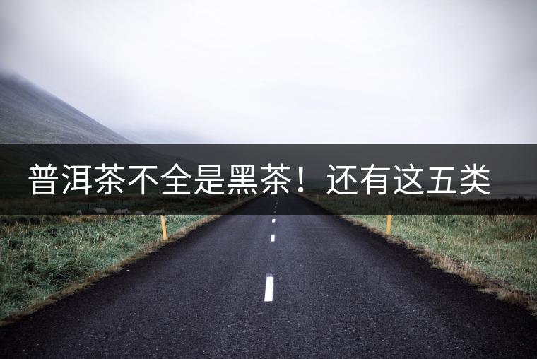 普洱茶不全是黑茶！還有這五類茶，現(xiàn)在知道還不算晚