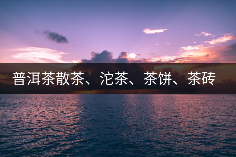 普洱茶散茶、沱茶、茶餅、茶磚哪種更好？