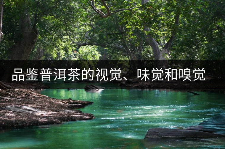 品鑒普洱茶的視覺(jué)、味覺(jué)和嗅覺(jué)指標(biāo)