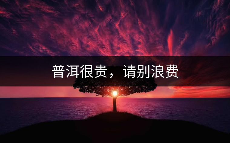 普洱很貴，請(qǐng)別浪費(fèi)