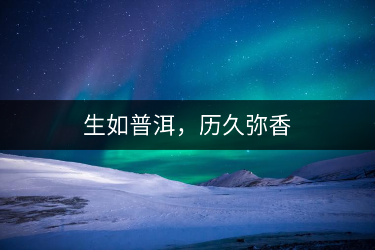 生如普洱，歷久彌香