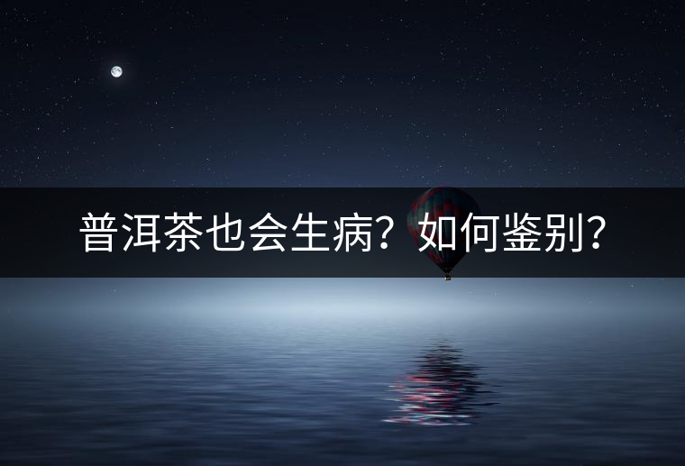 普洱茶也會生??？如何鑒別？