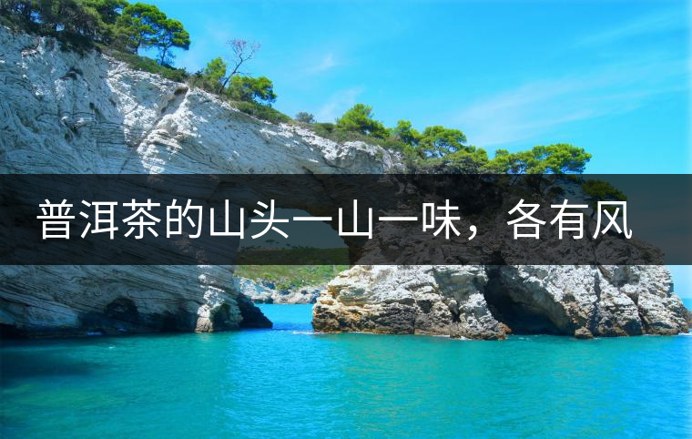 普洱茶的山頭一山一味，各有風格