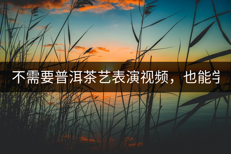 不需要普洱茶藝表演視頻，也能學(xué)會(huì)的茶藝！