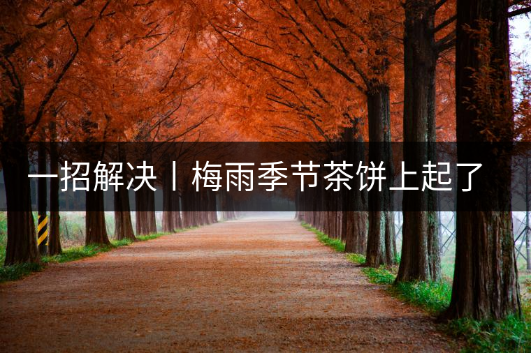 一招解決丨梅雨季節(jié)茶餅上起了白霜白點(diǎn)怎么辦？