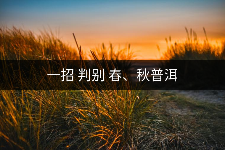 一招 判別 春、秋普洱