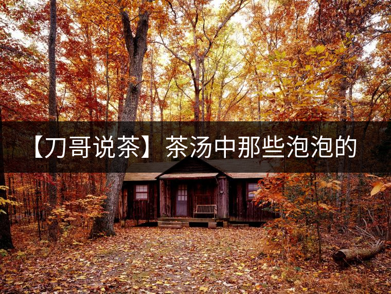 【刀哥說茶】茶湯中那些泡泡的始作俑者，茶皂素只是其中一個