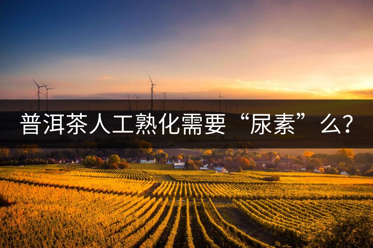 普洱茶人工熟化需要“尿素”么？