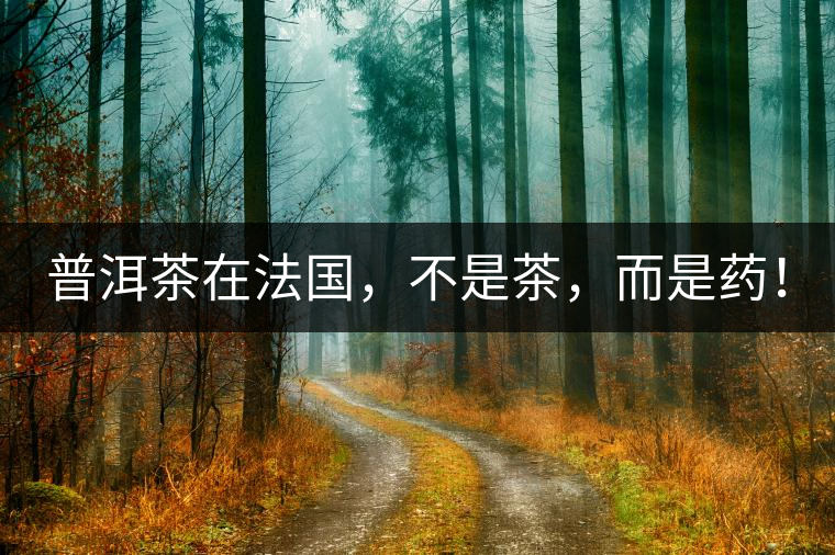 普洱茶在法國，不是茶，而是藥！