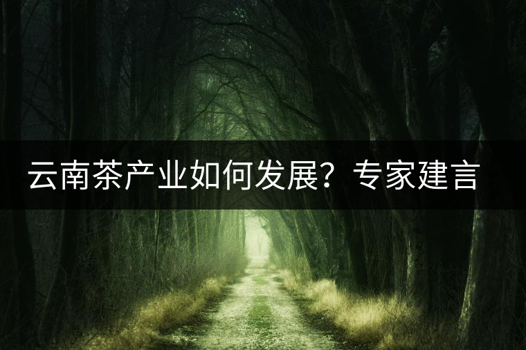 云南茶產(chǎn)業(yè)如何發(fā)展？專家建言：產(chǎn)業(yè)復(fù)興助脫貧