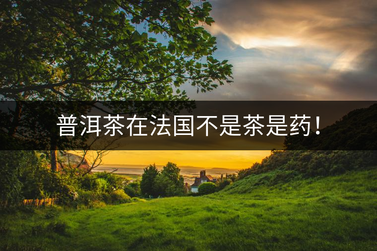 普洱茶在法國不是茶是藥！