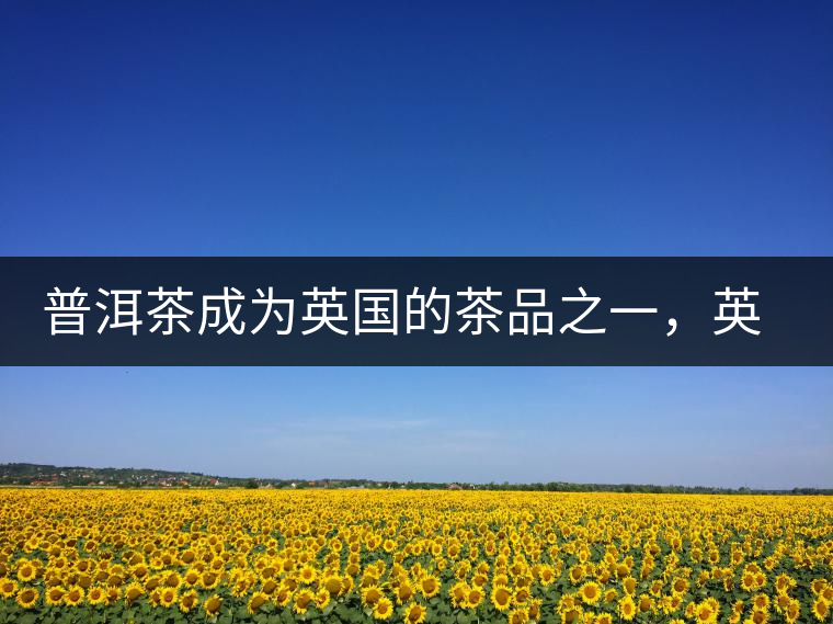 普洱茶成為英國的茶品之一，英國雜志給出7大理由