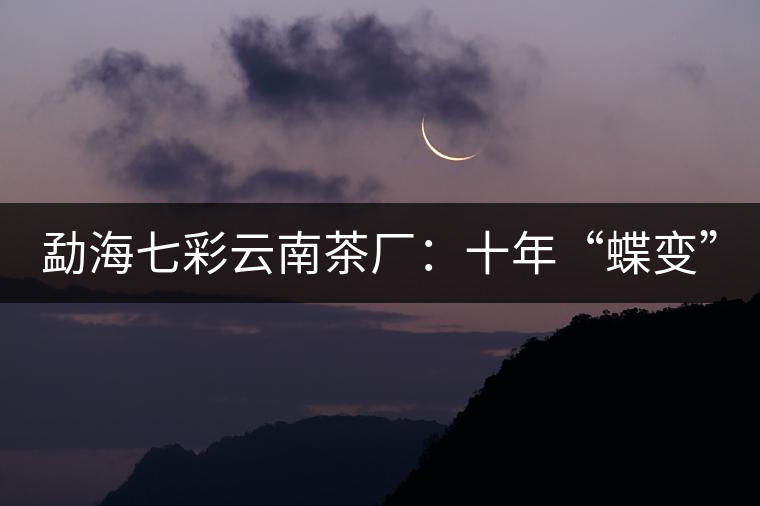 勐海七彩云南茶廠(chǎng)：十年“蝶變”