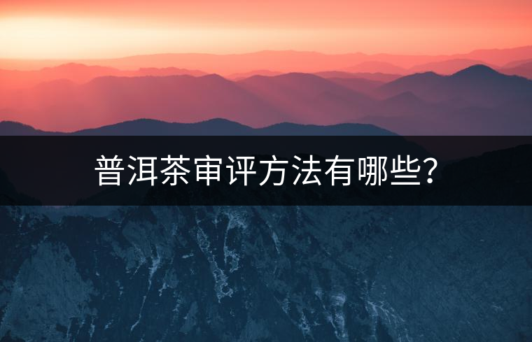 普洱茶審評方法有哪些？