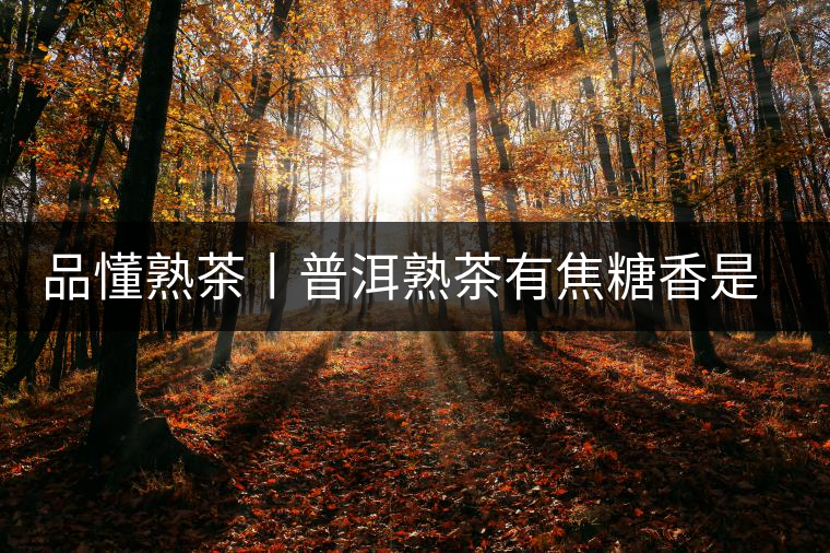 品懂熟茶丨普洱熟茶有焦糖香是好還是不好的表現(xiàn)？