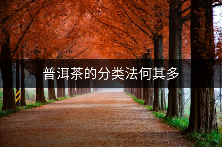 普洱茶的分類(lèi)法何其多 普洱茶的分類(lèi)法何其多