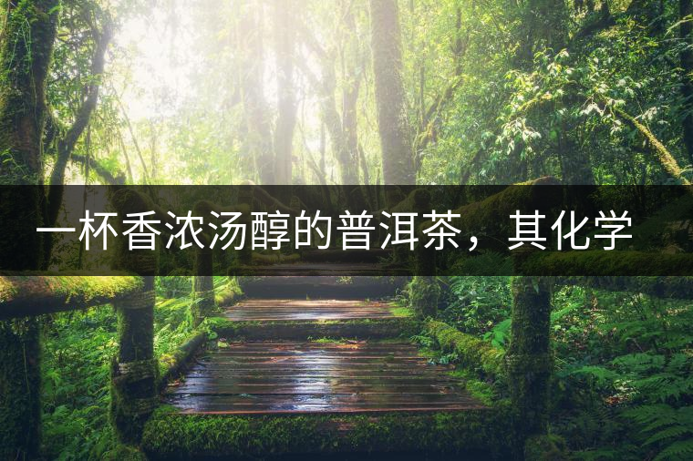 一杯香濃湯醇的普洱茶，其化學(xué)成分是怎樣的？