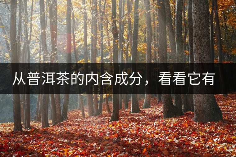 從普洱茶的內(nèi)含成分，看看它有什么功效？