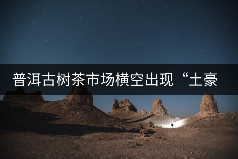 普洱古樹茶市場(chǎng)橫空出現(xiàn)“土豪”品牌