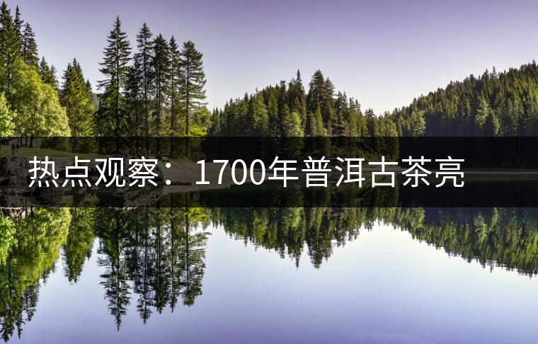 熱點觀察:1700年普洱古茶亮相上海奢侈品展 熱點觀察:1700年普洱古茶亮相上海奢侈品展