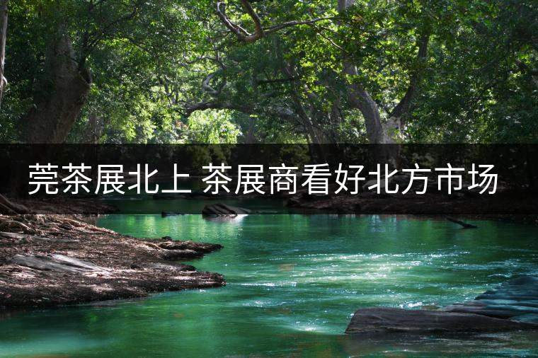莞茶展北上 茶展商看好北方市場！