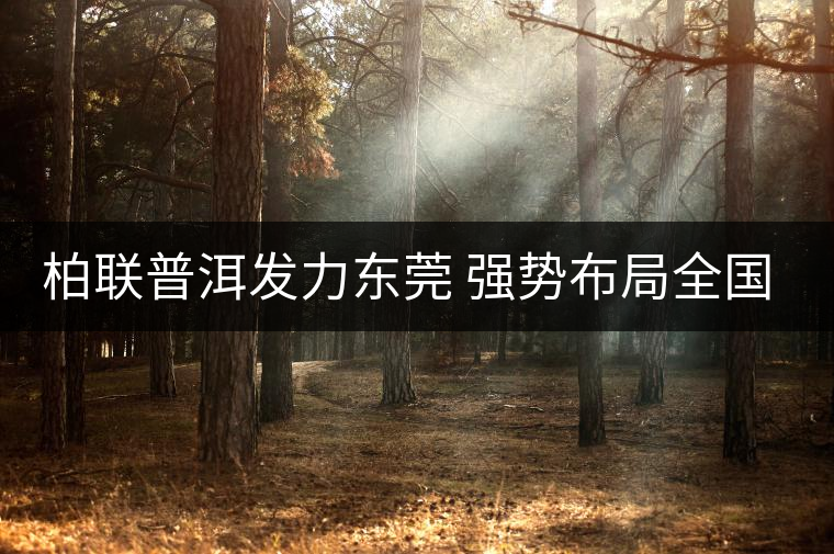 柏聯(lián)普洱發(fā)力東莞 強(qiáng)勢(shì)布局全國(guó)茶市 柏聯(lián)普洱發(fā)力東莞 強(qiáng)勢(shì)布局全國(guó)茶市
