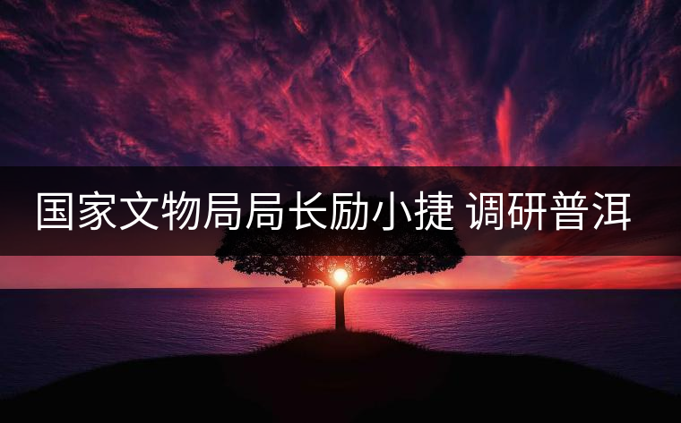 國(guó)家文物局局長(zhǎng)勵(lì)小捷 調(diào)研普洱景邁山古茶園申遺工作 國(guó)家文物局局長(zhǎng)勵(lì)小捷 調(diào)研普洱景邁山古茶園申遺工作