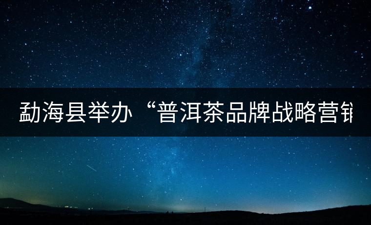 勐?？h舉辦“普洱茶品牌戰(zhàn)略營銷專題講座”