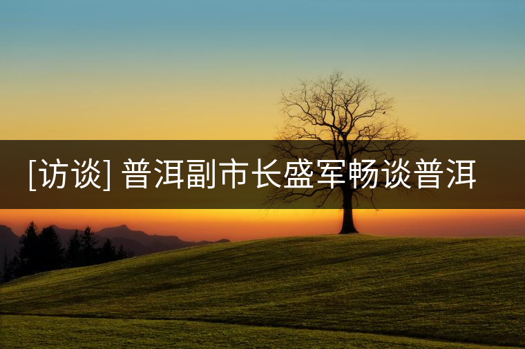 [訪談] 普洱副市長盛軍暢談普洱茶未來發(fā)展