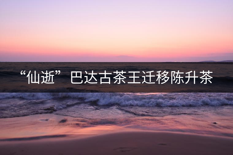 “仙逝”巴達(dá)古茶王遷移陳升茶業(yè)公司 “仙逝”巴達(dá)古茶王遷移陳升茶業(yè)公司