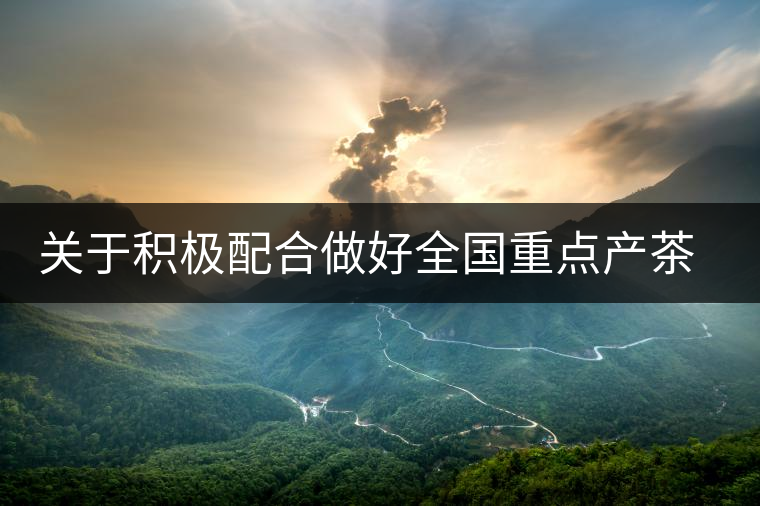 關(guān)于積極配合做好全國重點(diǎn)產(chǎn)茶縣、百強(qiáng)茶企和年度經(jīng)濟(jì)人物調(diào)查推選工作的通知