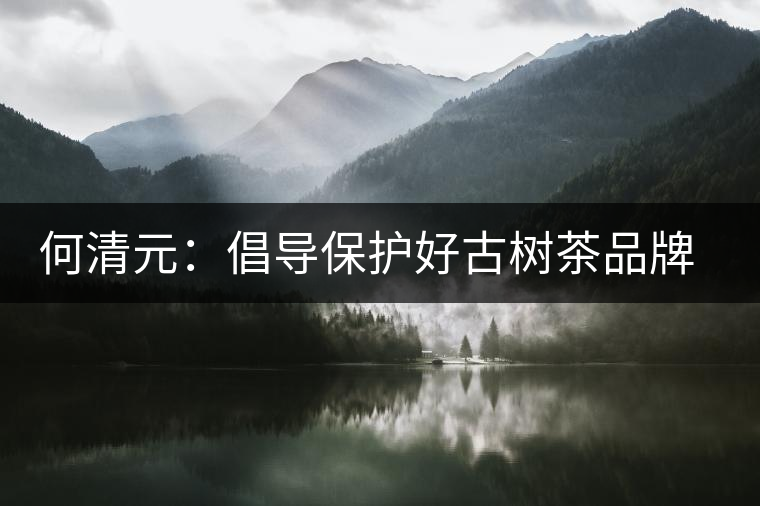 何清元：倡導(dǎo)保護(hù)好古樹茶品牌資源