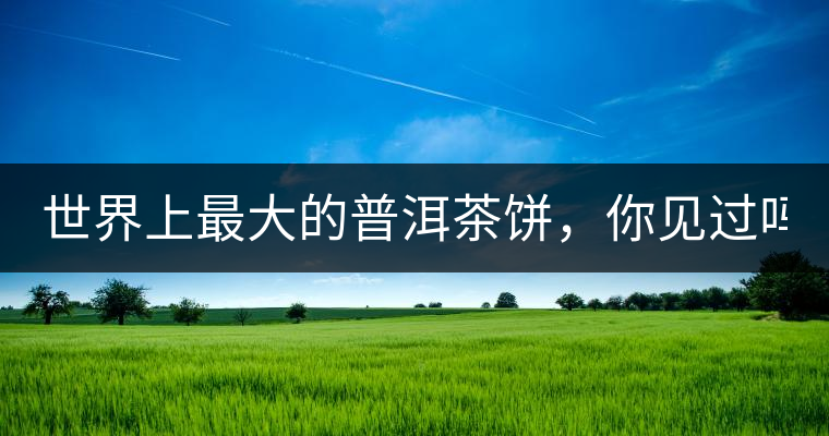 世界上最大的普洱茶餅，你見過嗎？