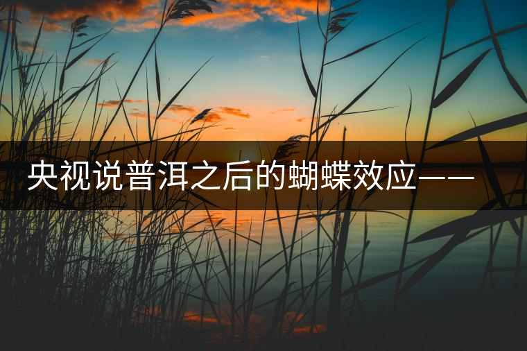 央視說普洱之后的蝴蝶效應(yīng)——過度開采會出現(xiàn)“死循環(huán)”？