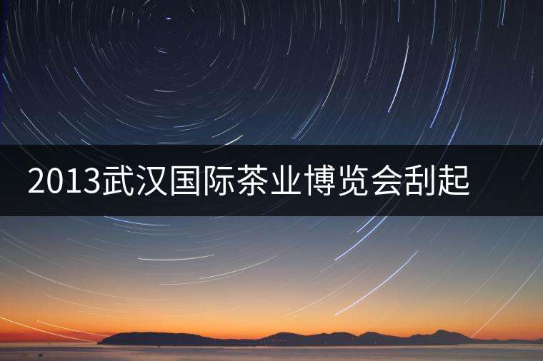 2013武漢國際茶業(yè)博覽會刮起一股“黑旋風(fēng) 2013武漢國際茶業(yè)博覽會刮起一股“黑旋風(fēng)