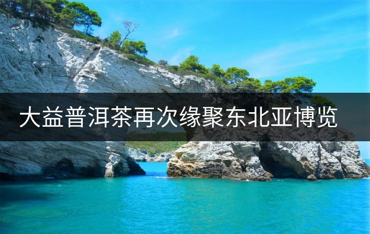 大益普洱茶再次緣聚東北亞博覽會(huì)