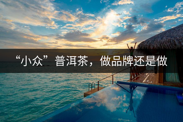 “小眾”普洱茶，做品牌還是做圈子？