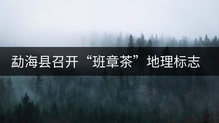 勐海縣召開“班章茶”地理標(biāo)志認(rèn)證評審會(huì)