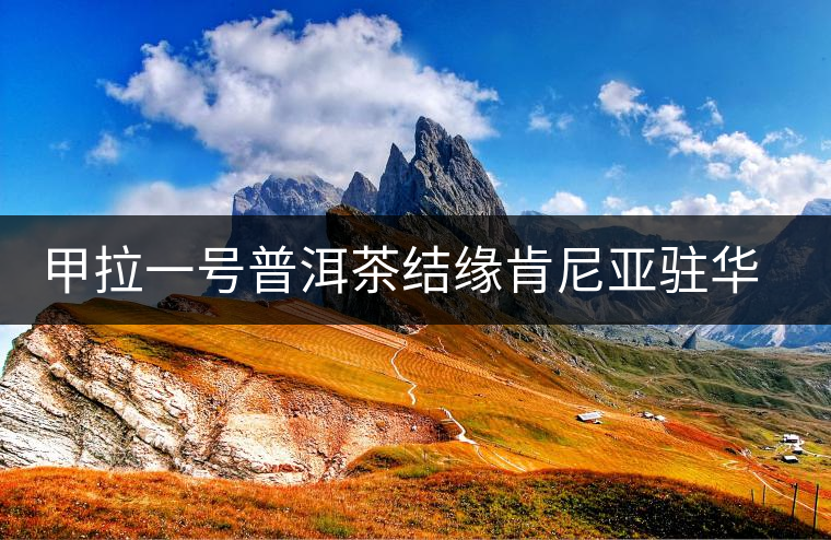 甲拉一號(hào)普洱茶結(jié)緣肯尼亞駐華專員 甲拉一號(hào)普洱茶結(jié)緣肯尼亞駐華專員