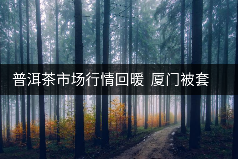 普洱茶市場行情回暖  廈門被套茶商開始出貨