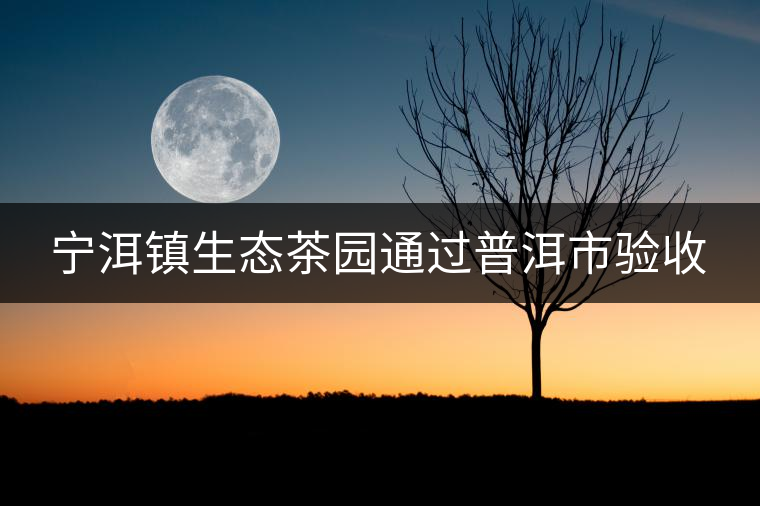 寧洱鎮(zhèn)生態(tài)茶園通過(guò)普洱市驗(yàn)收 寧洱鎮(zhèn)生態(tài)茶園通過(guò)普洱市驗(yàn)收