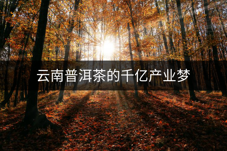云南普洱茶的千億產(chǎn)業(yè)夢 云南普洱茶的千億產(chǎn)業(yè)夢