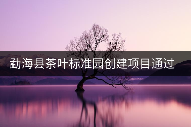 勐?？h茶葉標(biāo)準(zhǔn)園創(chuàng)建項(xiàng)目通過(guò)省級(jí)驗(yàn)收